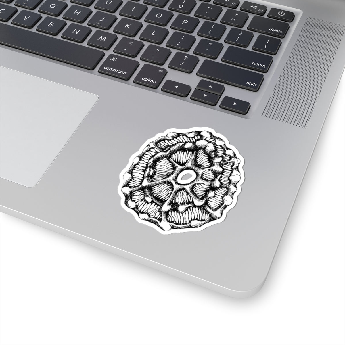 Botanical Cross-Section Sticker — Hand-Drawn Black & White Floral Decal