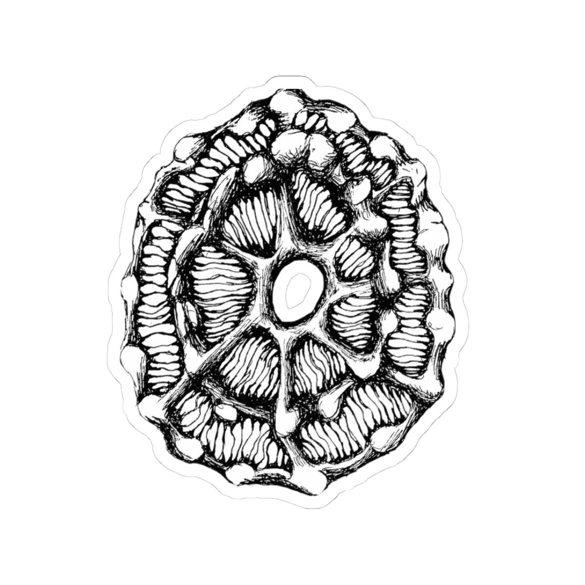 Botanical Cross-Section Sticker — Hand-Drawn Black & White Floral Decal